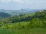P1000414.jpg