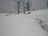 holzhütte1.jpg