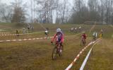 P1010272.jpg