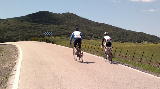 Conil Rad2.jpg
