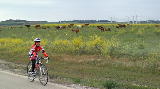 Conil Rad 5.jpg