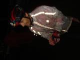 DSC01647.jpg